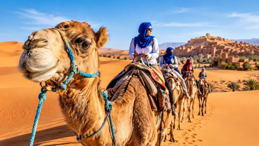 Fes Sahara Desert Tours: Routes, Itineraries, and Day Trips
