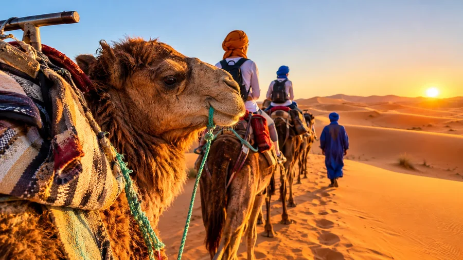 Marrakech to Fes Desert Tour: 3-Day Merzouga Route