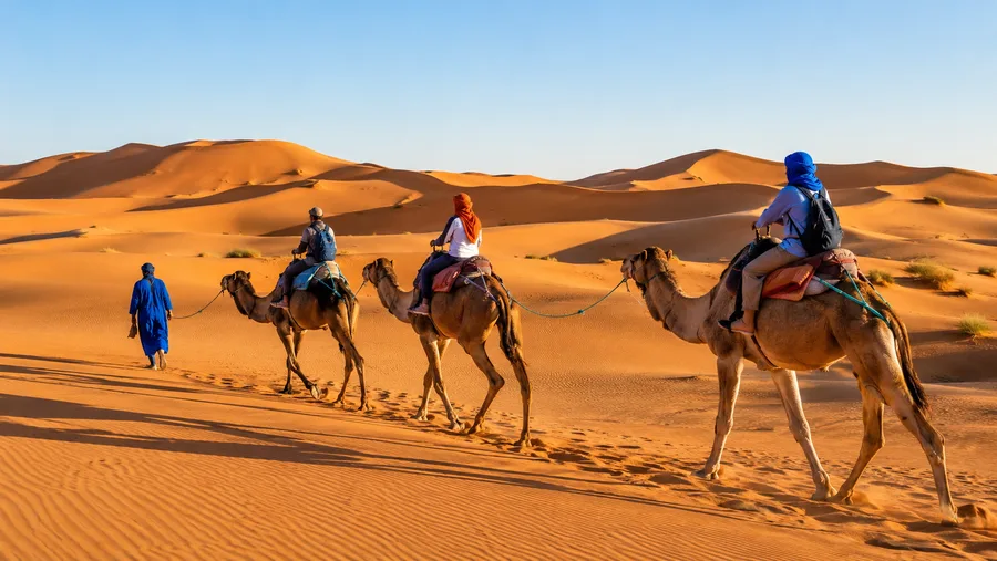 Zagora Sahara Desert Tour: 1-Day and 2-Day Desert Trips